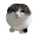 rllxmn