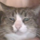 eriblue#3769's avatar