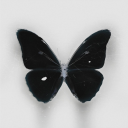avatar manbyte