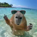 Photo de profil de ze3c