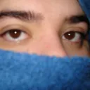 .chelusa