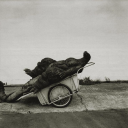 vytautas1989#9626's avatar