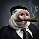 crazy_pig3168
