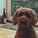 zaczer