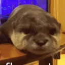 elisa_41