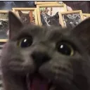 soeiz