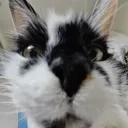 .txb1