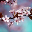 herishi1178