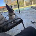 avatar ilovecnoodle47