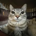 anglelr
