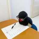 llivnaes