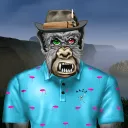 dheeroy