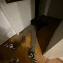 trsniper