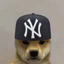 taxyr