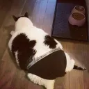 eliyahuuu