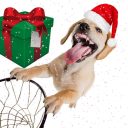 avatar IM JOLLY BITCH!