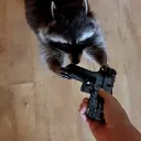 kingkarrotss
