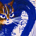 meowww404