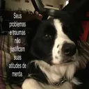 thonell