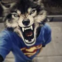 Аватар .dromik