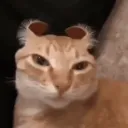 lluma