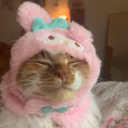 avatar cazz˚ʚ♡ɞ˚