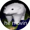 dr.t_