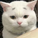 patthh