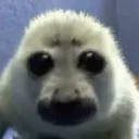 sirwigglebott0m