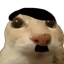 mr_pinguinix