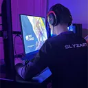 slyzart