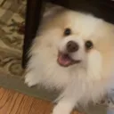 charlie26731