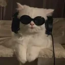 zinerd