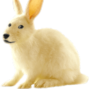 avatar Leppions