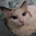 avatar ☆catfish☦