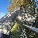 avatar queefmaster67