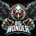 bigwonder