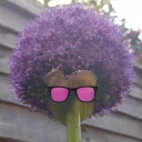 gurnicus