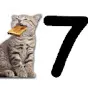 cattoast7