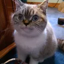 kat177111