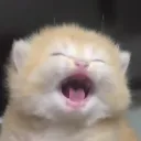 jjanjao