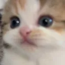 jjanjao