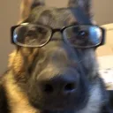 skipnicky