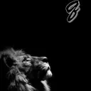 freddyjc.q avatar