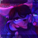 chartransekitten