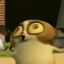 dimedebibi