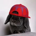 c1iq