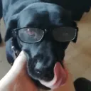 susuooo