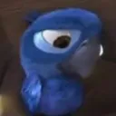 mad911