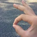 squeakycleanswine